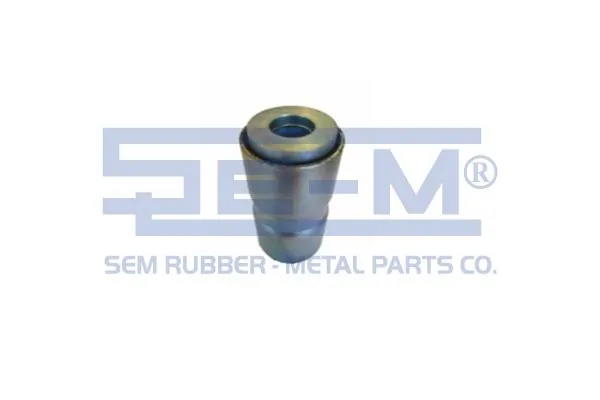 Bushing, leaf spring